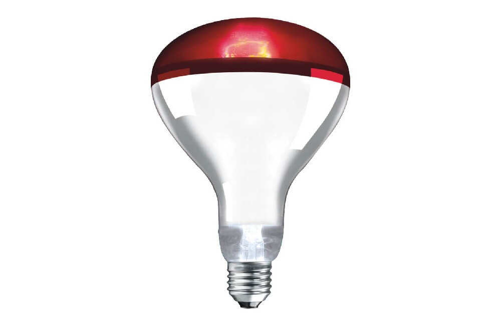 Harbord Electrical