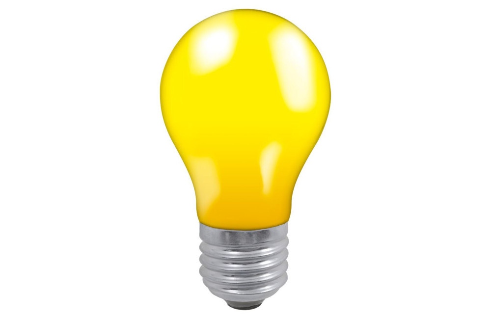 Harbord Electrical