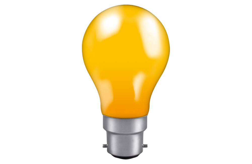 Harbord Electrical